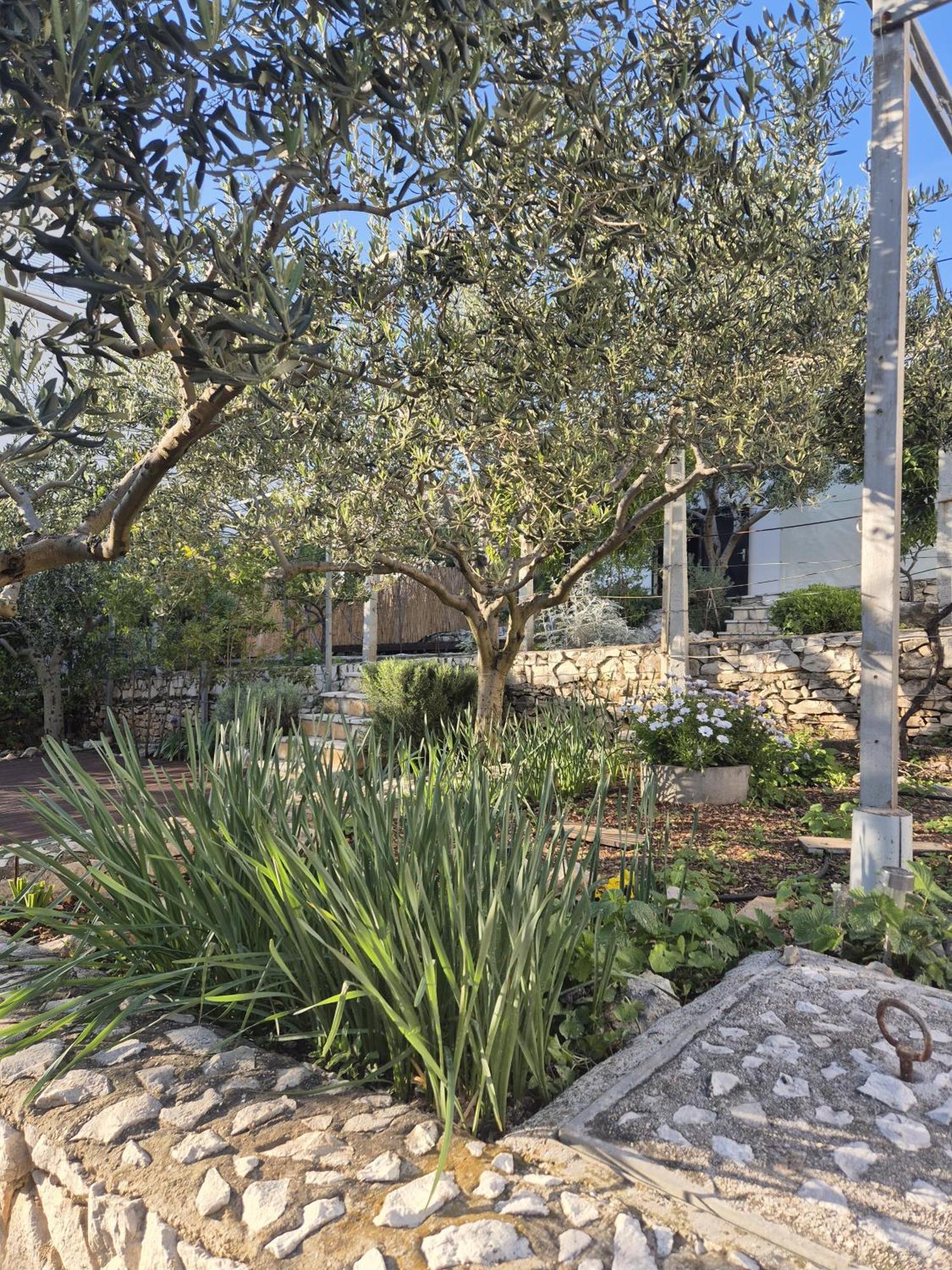 Villa Apartments Oliva Seget Vranjica Buitenkant foto